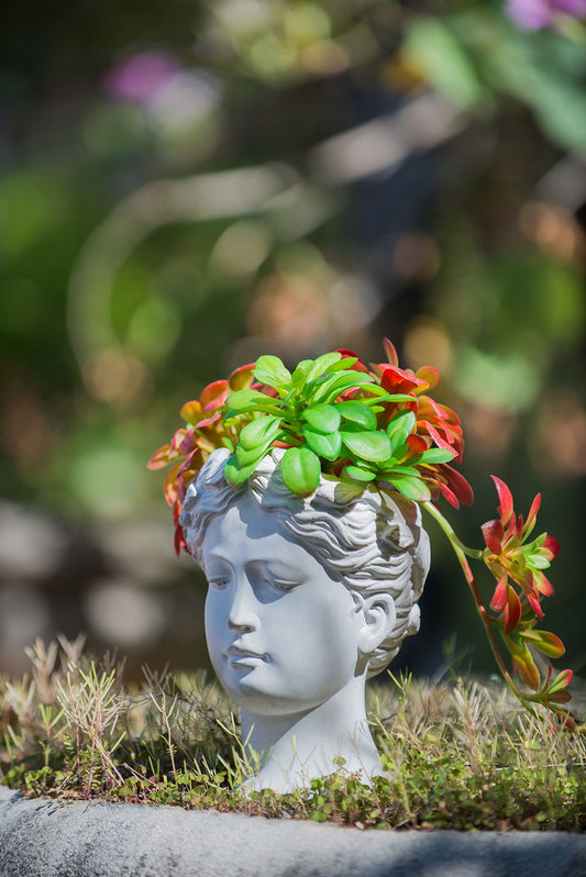 The Greek Style Cement Head Planter in gray holds green and red succulents like hair on a child's bust. Placed among grass, this indoor-outdoor home garden decor is shown against a blurred greenery background.