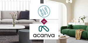 Blu Dot vs Acanva