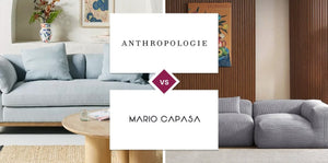 Anthropologie vs Mario Capasa
