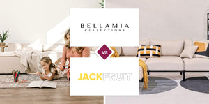 Bellamia Collections vs Jackfruit