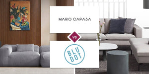 Mario Capasa vs Blu Dot