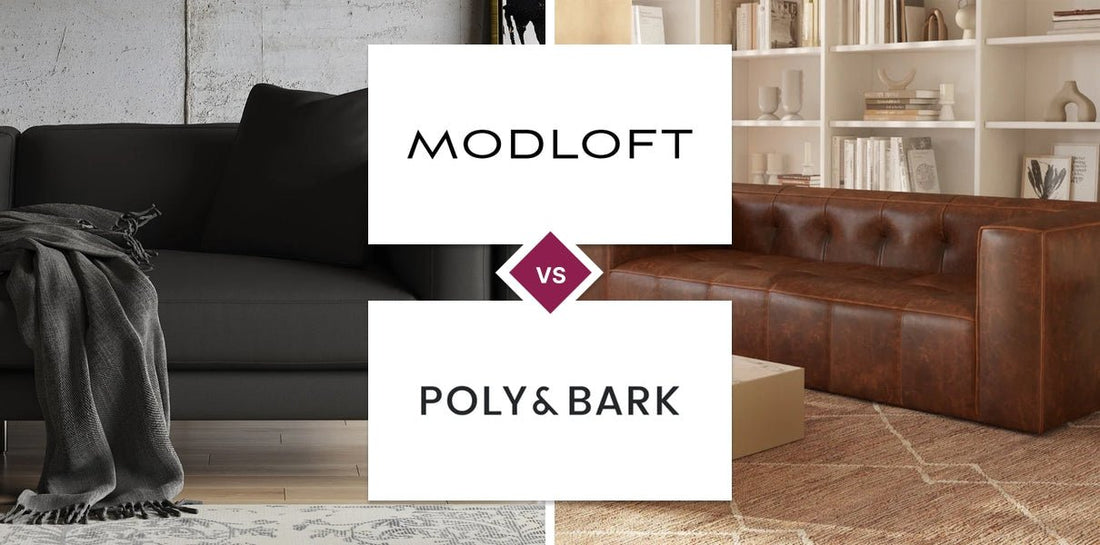 Modloft vs Poly & Bark