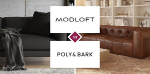 Modloft vs Poly & Bark