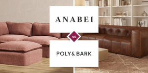 Anabei vs Poly & Bark