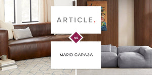 Article vs Mario Capasa