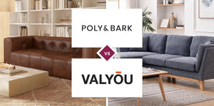 Poly & Bark vs Valyōu
