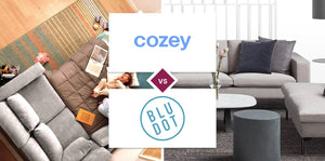 Cozey vs Blu Dot