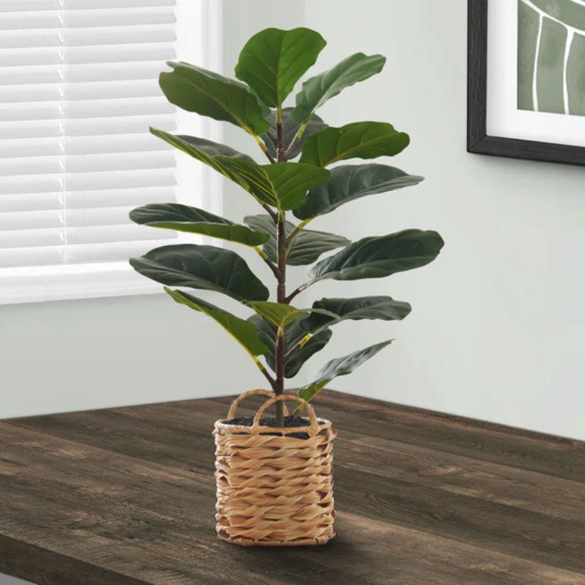 Accessories > Table Decor - Couch