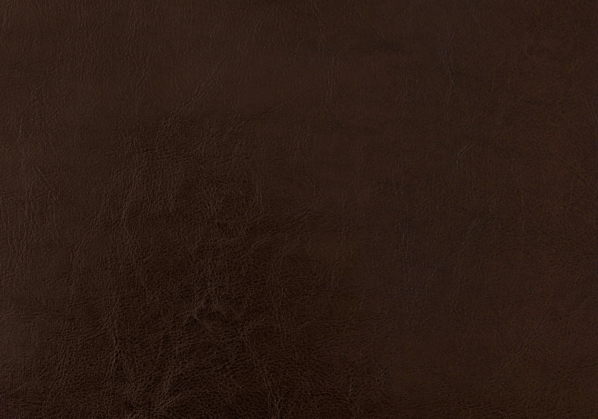 Close-up of the Bed, Upholstered, Frame Only, Transitional shows its textured dark brown leather surface with natural grain and subtle variations in color and shading.