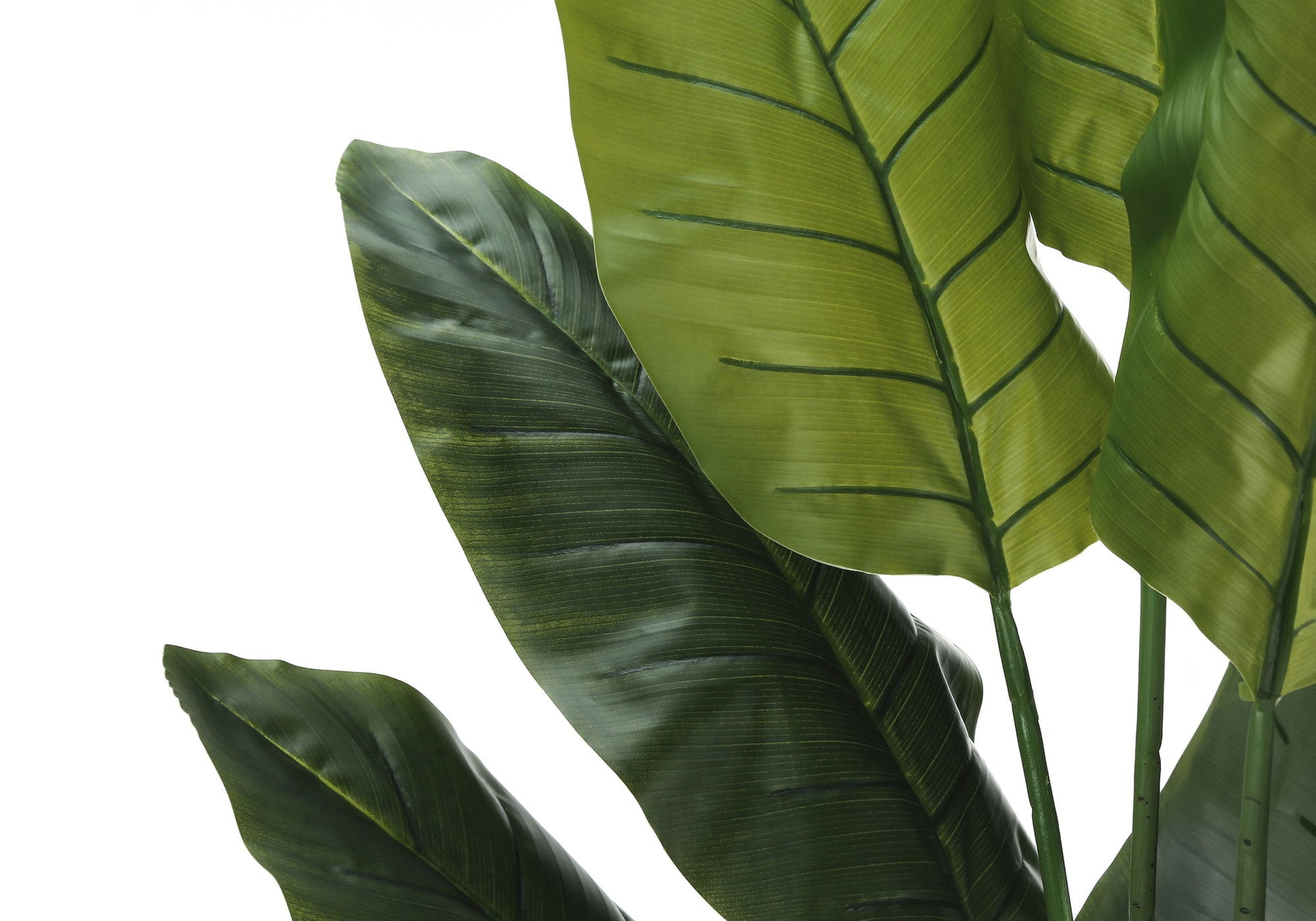 The 59" Tall Artificial Strelitzia Tree features overlapping, large green leaves with realistic veins and natural textures. This potted faux plant adds lush greenery and decorative flair to any indoor space.