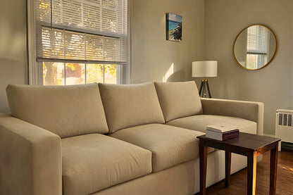 The Comfy Couch