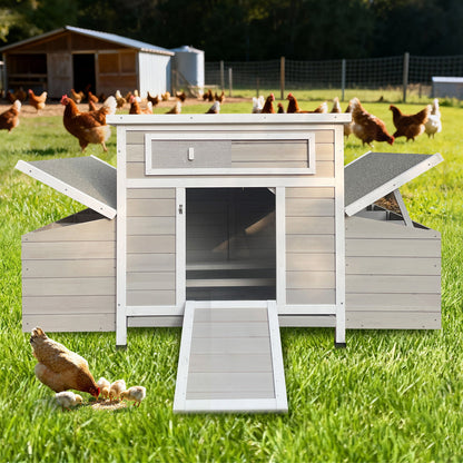 Large Chicken Coop Outdoor Hen House With Dual Nesting Boxes