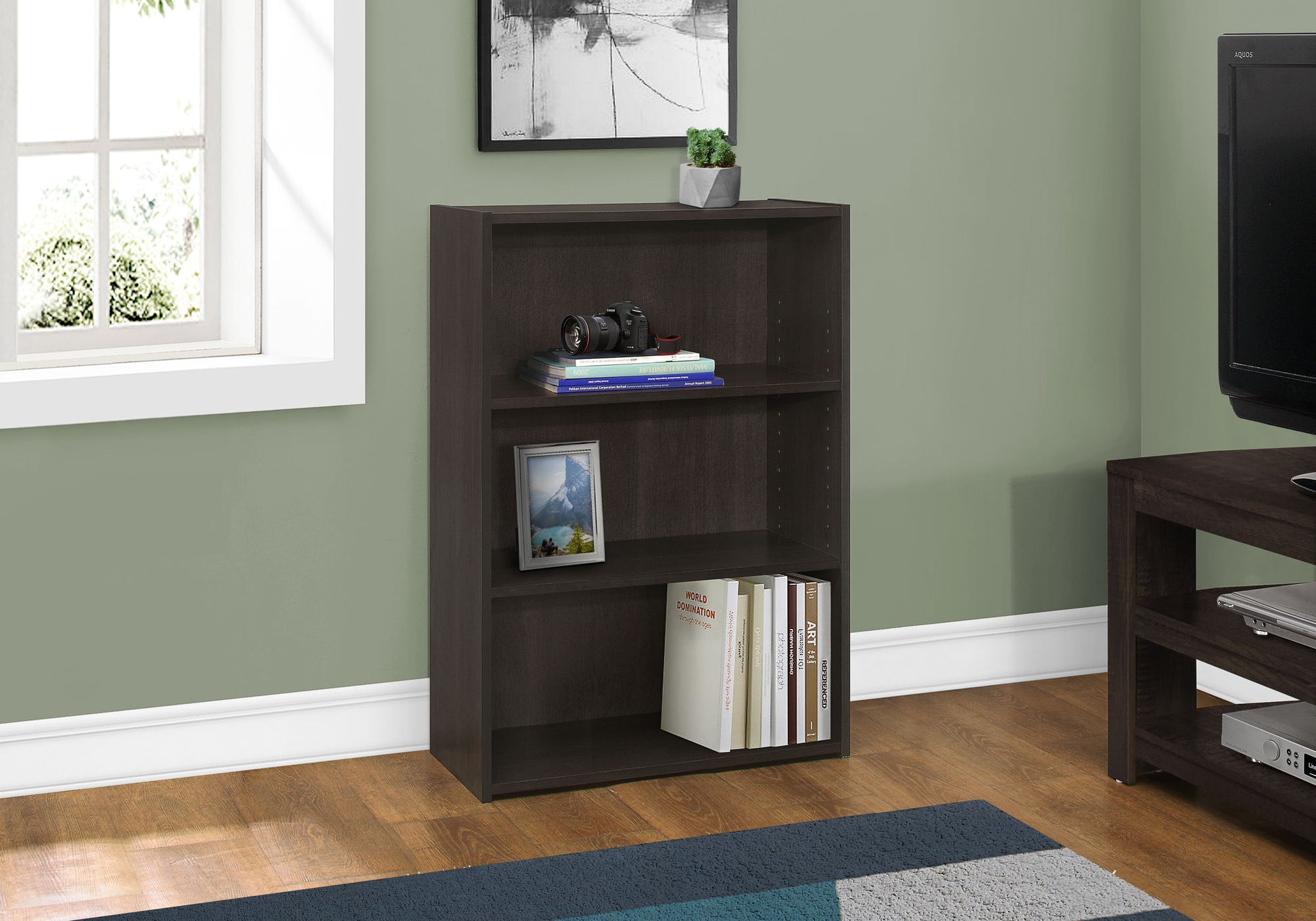 A 4-tier transitional office bookshelf stands against a green wall, displaying a camera, small plant, books, and framed art. Nearby are a window, TV, and a blue-gray rug on the hardwood floor.