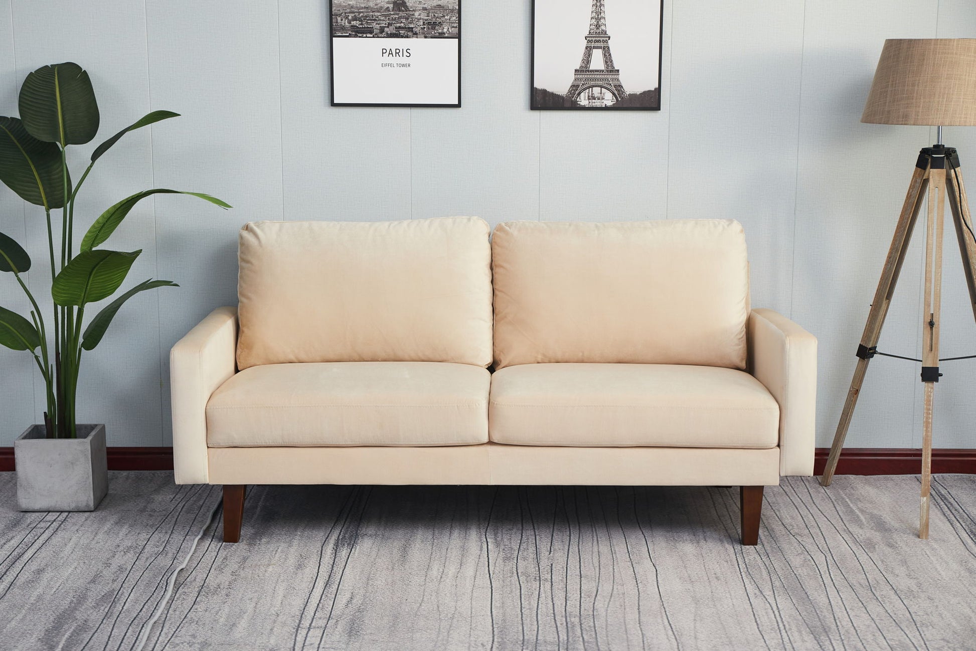 A Comfortable Sofa With Durable Construction and two cushions rests on a gray patterned rug. A potted plant stands left, a tripod floor lamp right, while two black-and-white pictures hang on the light blue wall behind.