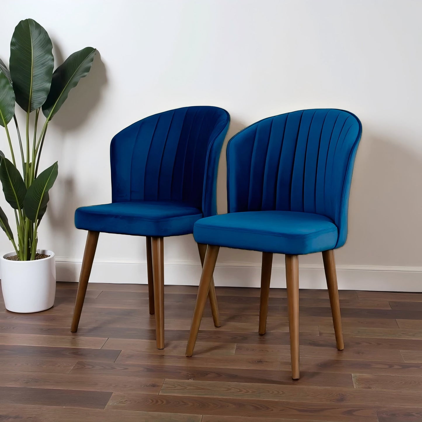 Two Parsons Comfortable Dining Chairs (set of 2) in modern blue velvet with wooden legs are placed side by side on a wooden floor. A tall green potted plant sits to the left, against a plain white background.