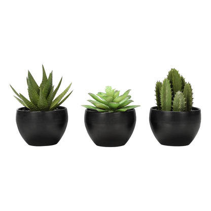 Artificial Succulent Plants (Set of 3)