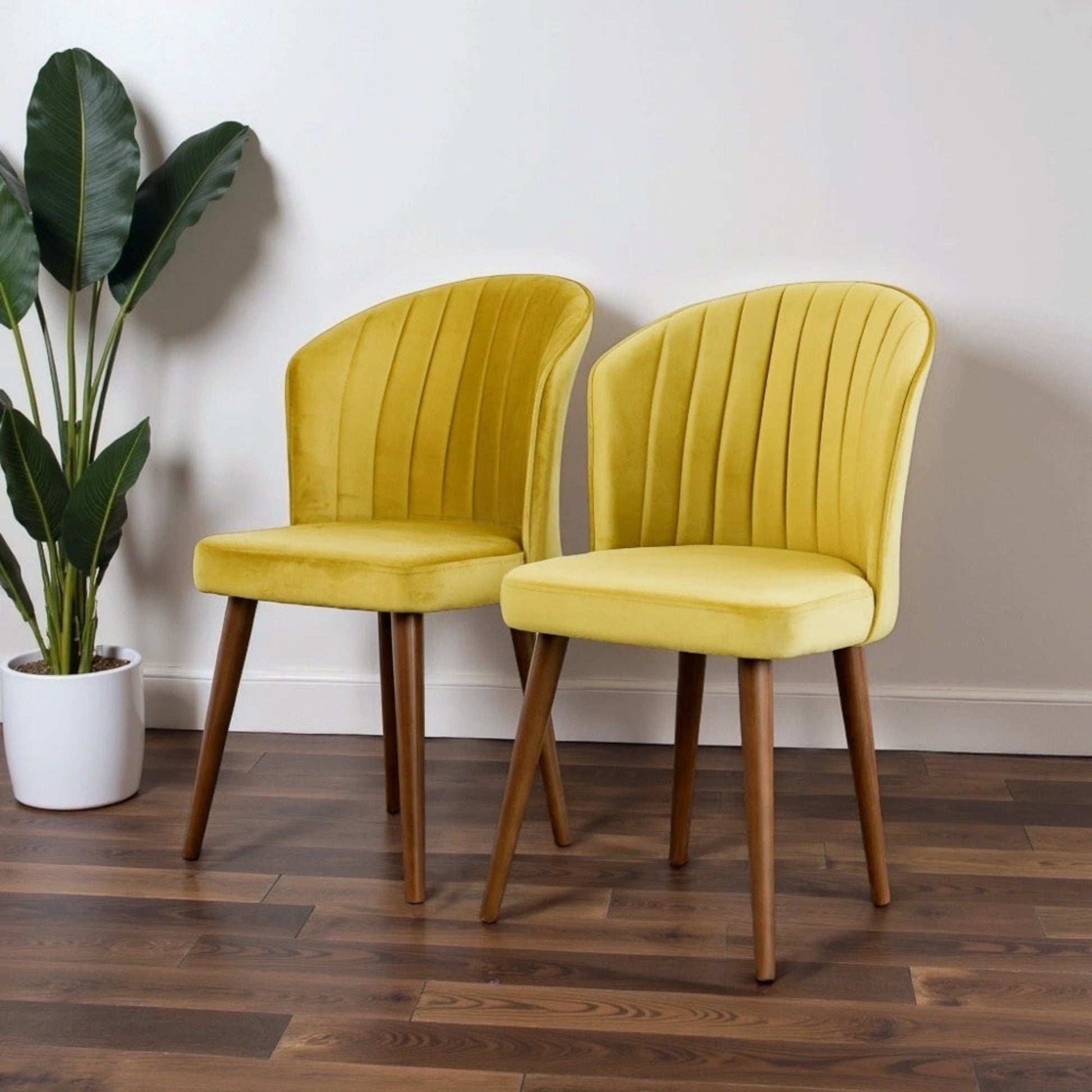 A set of two Parsons Comfortable Dining Chairs with yellow upholstery and wooden legs sit side by side on a dark wooden floor beside a green potted plant, all against a white wall.