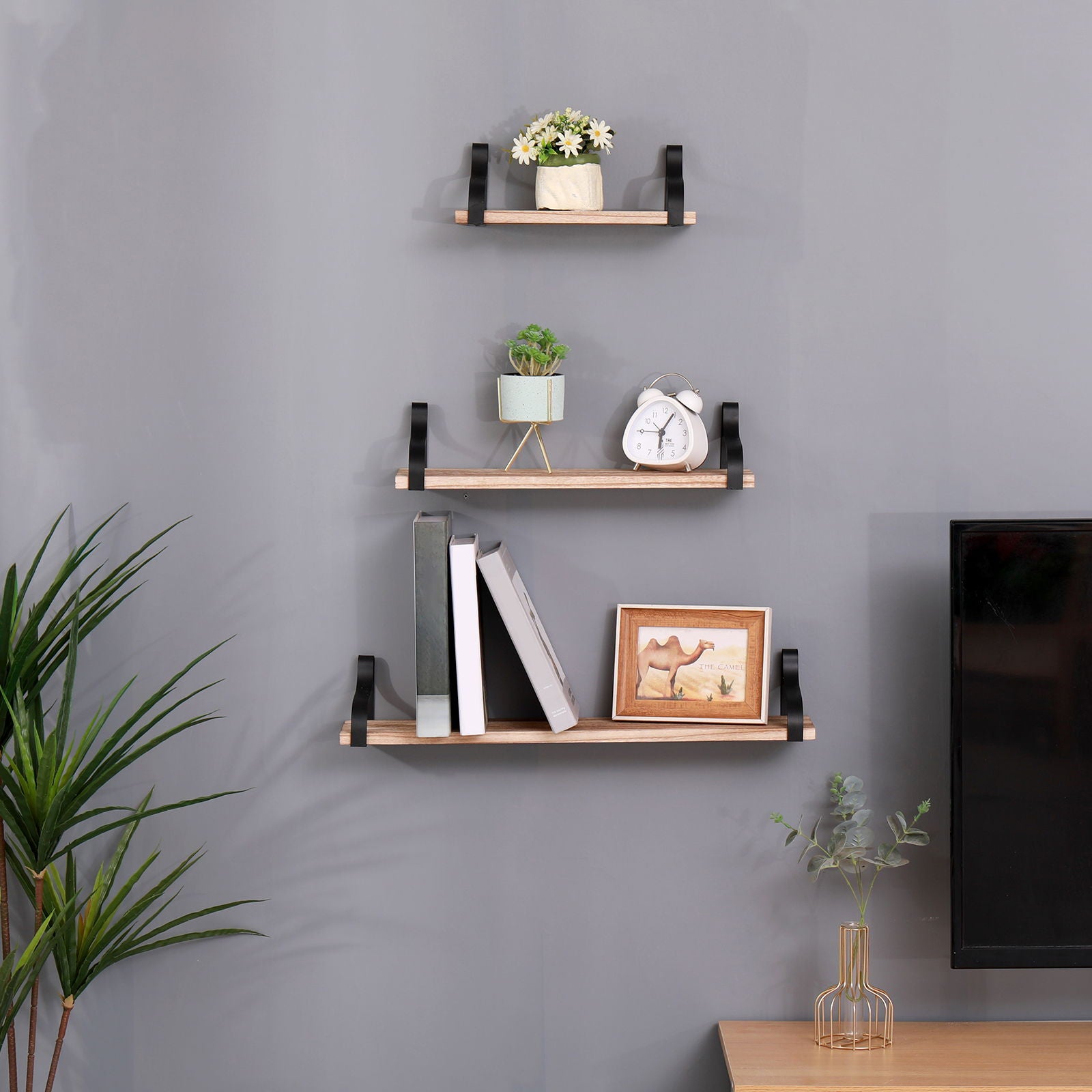 Three Floating Shelves, Long Wall Shelves (Set of 3) made of natural wood with black brackets display plants, books, a clock, and a framed photo. A potted plant is on the floor; a TV and desk with vase are on the right against a gray wall.