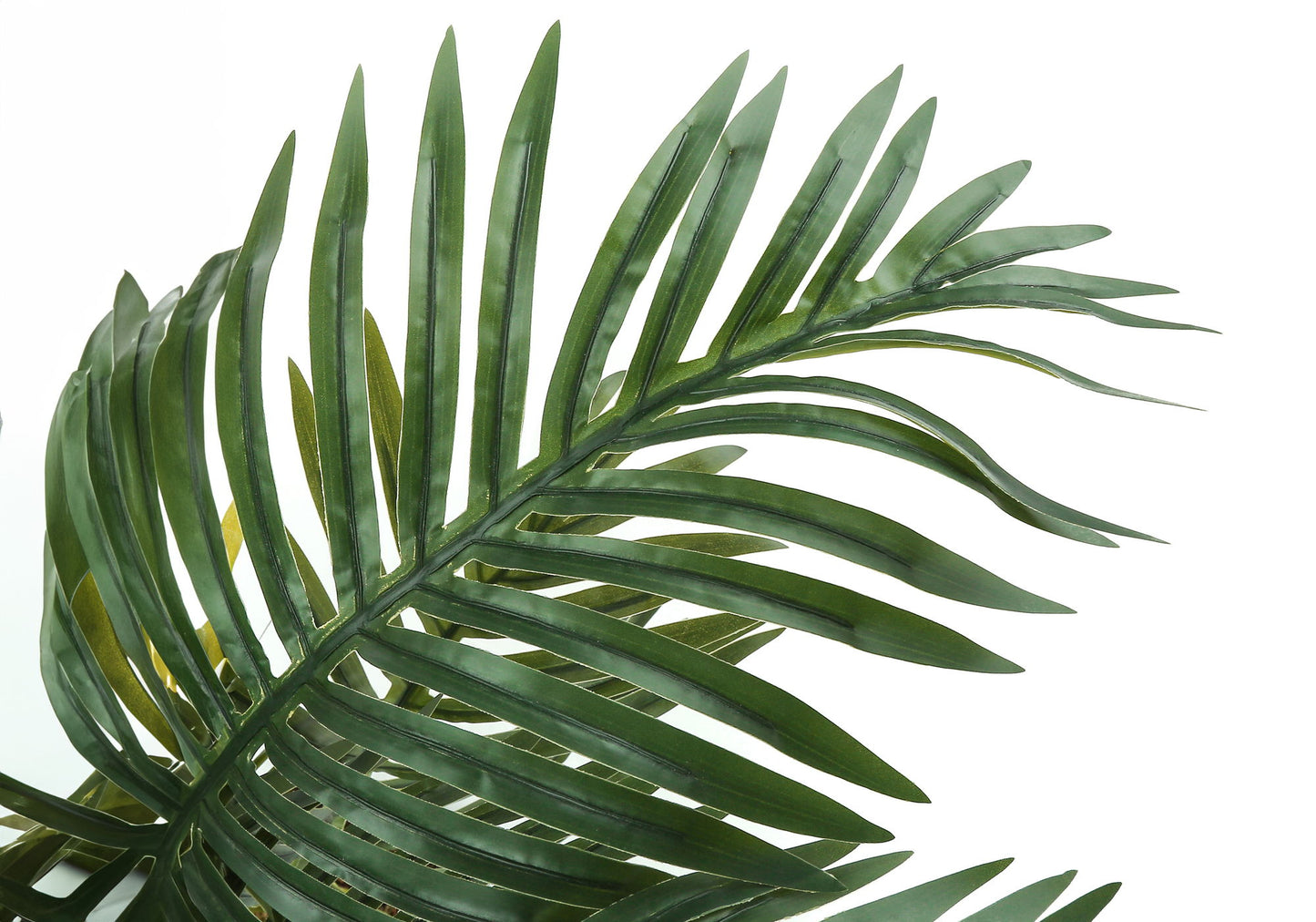 Close-up of the 34" Tall Artificial Palm Tree showcasing glossy, overlapping green fronds. This faux indoor plant features real touch leaves and comes potted for decorative floor greenery in your space.