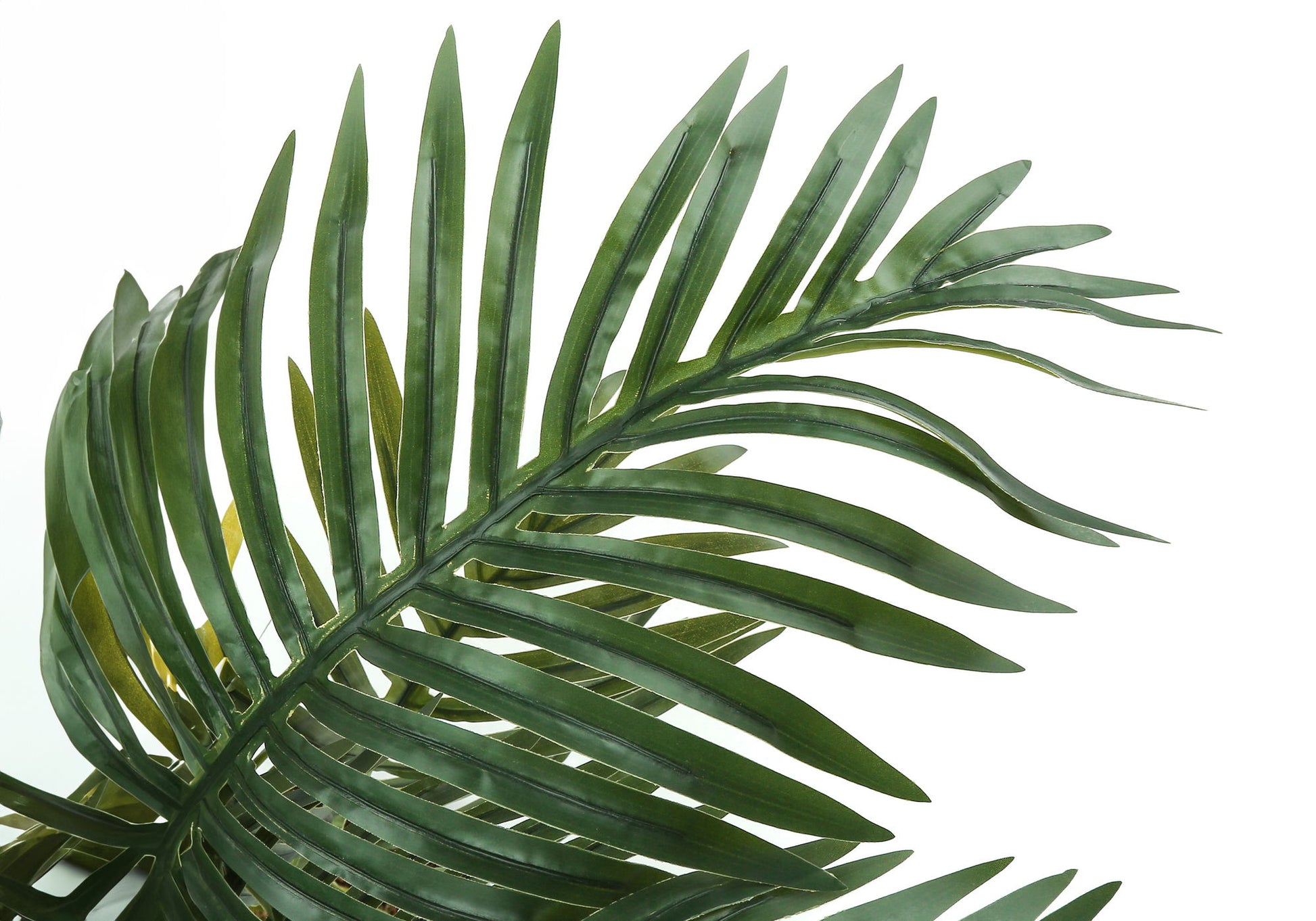 Close-up of the 34" Tall Artificial Palm Tree showcasing glossy, overlapping green fronds. This faux indoor plant features real touch leaves and comes potted for decorative floor greenery in your space.