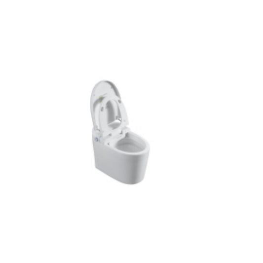 Tankless Smart Toilet With Bidet Built In, 1 Piece, Auto Flush, Auto Open / Close, Heated Seat, Bubble Wash, Warm Water And Dry, Adjustable Temp, Remote Control Side Know - White