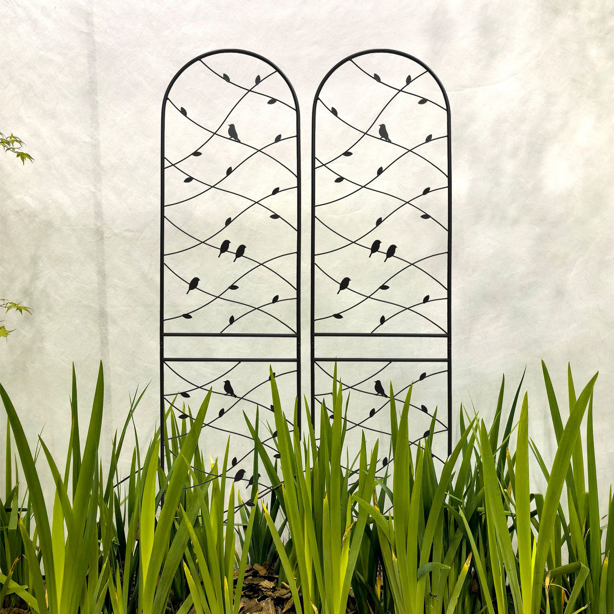 Garden Rustproof Trellis For Climbing Plants