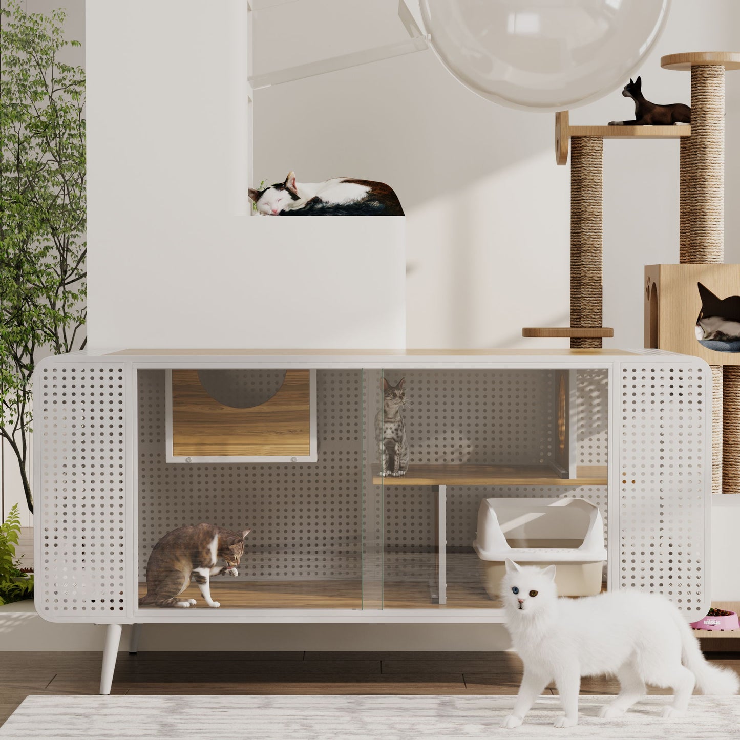 Cat House With Tempered Glass