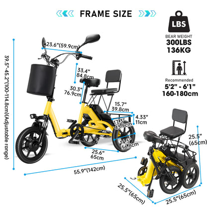 Folding Electric Trike With 350W Peak Motor, 480Wh Removable Battery, 2 Seat Design