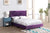 Purple / Queen