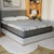 Dark Gray / Twin Long
