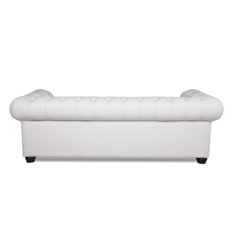 Back view of the Birch Lane Freddie 95'' Leather Sofa in white, featuring tufted detailing and rounded armrests, set on dark wooden legs.