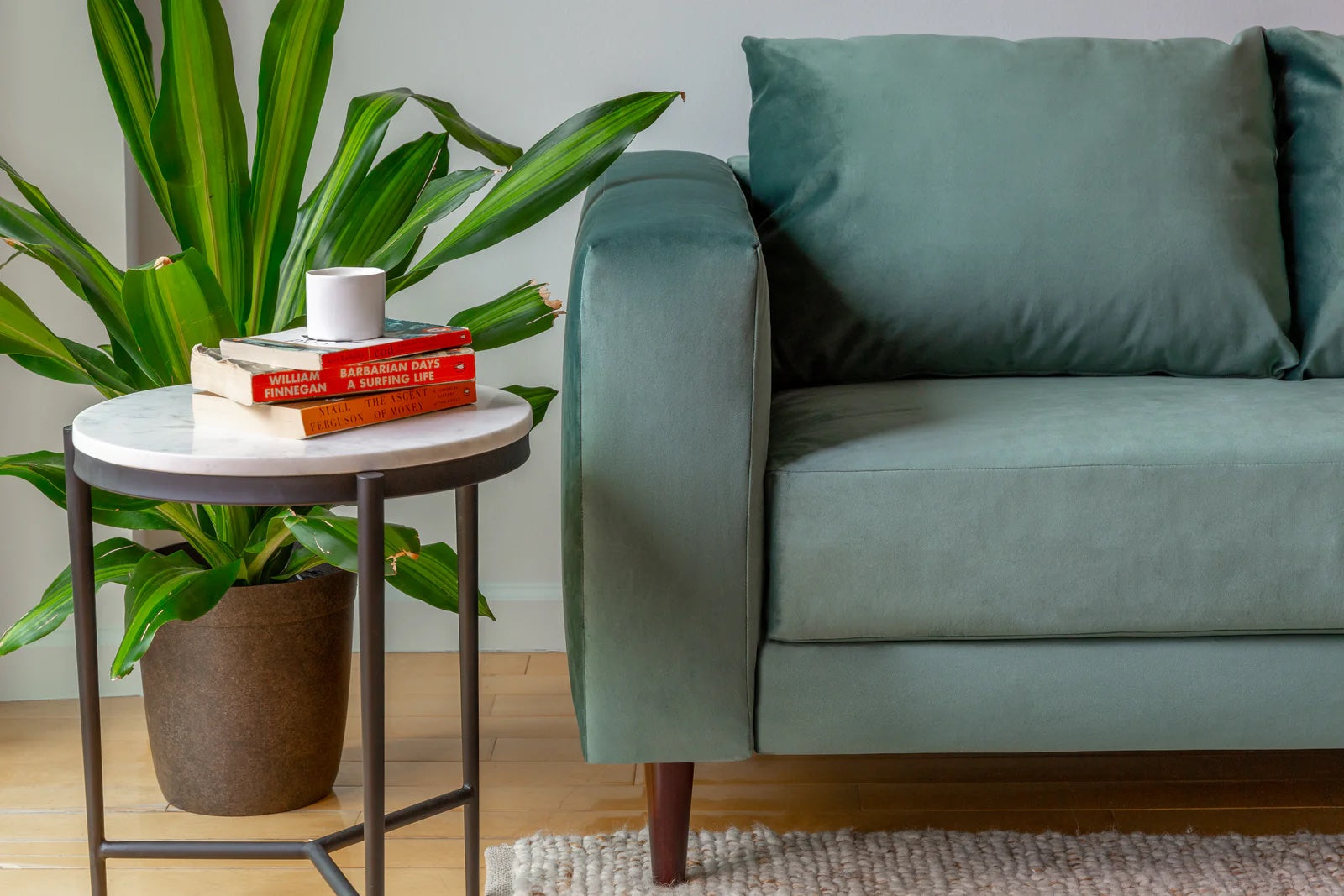 A cozy living room setup with a green couch, a potted plant beside it, and a small round side table. On the table, there are two stacked books and a white coffee cup. The room has wooden flooring and a neutral-colored rug.