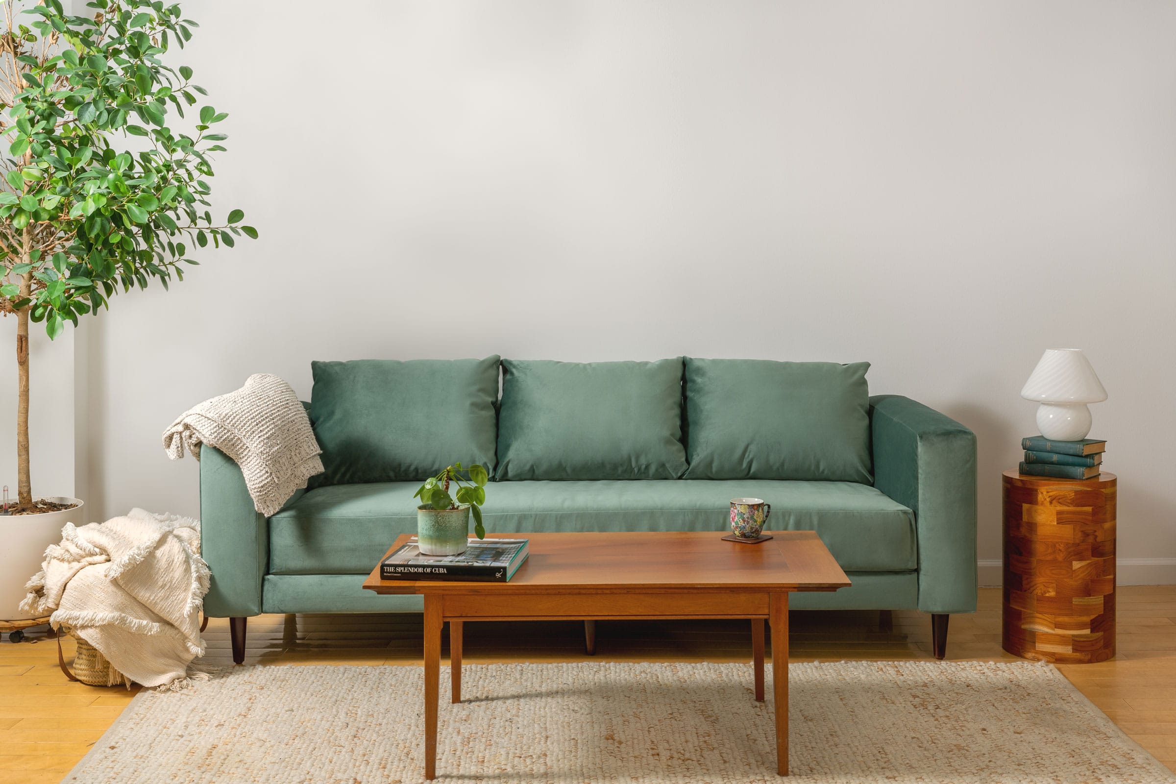 A modern living room with a green sofa, three cushions, a wooden coffee table with plants and books, a white rug, a potted tree on the left, folded blanket in a basket, and a wooden side table on the right with a lamp and stacked books.