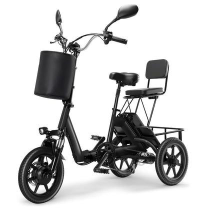 Folding Electric Trike With 350W Peak Motor, 480Wh Removable Battery, 2 Seat Design