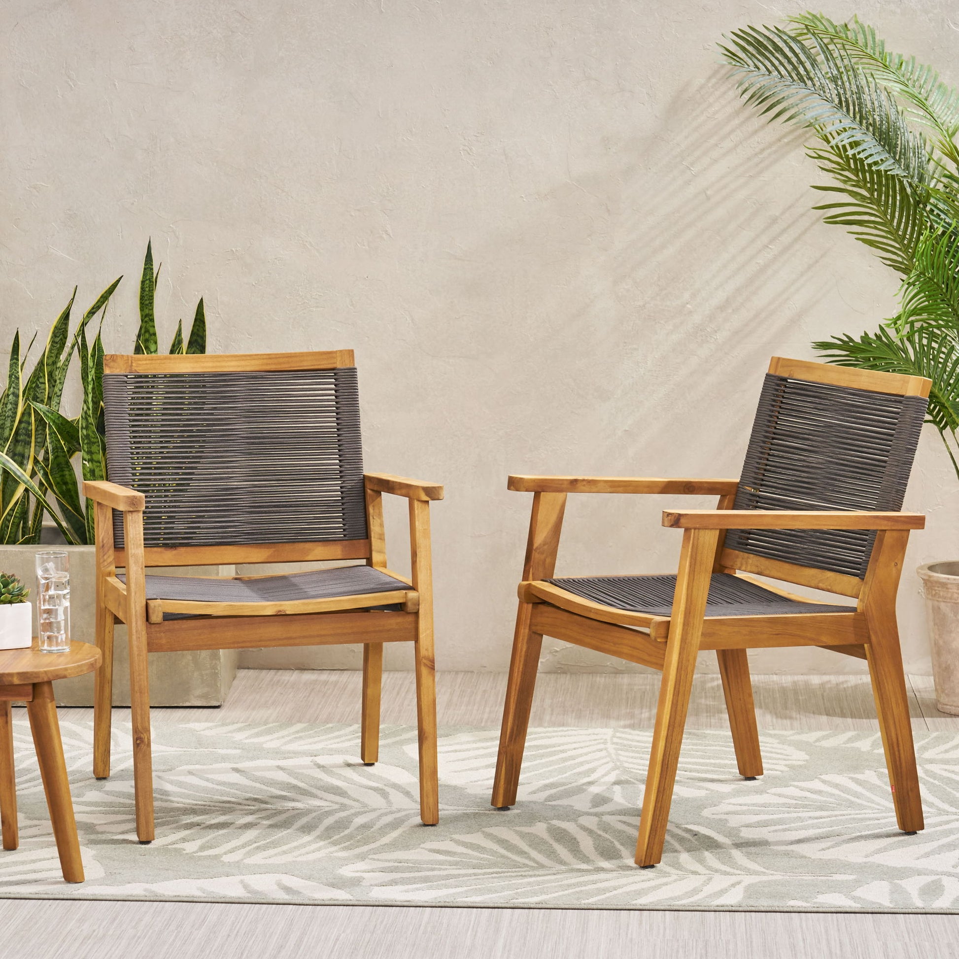 A set of two Outdoor Dining Chairs in dark gray features gray rope seats and backs, placed on a leaf-patterned rug among green potted plants, against a neutral wall in a bright indoor space.
