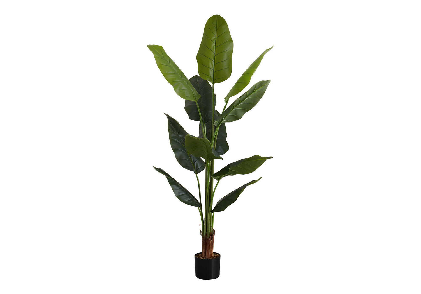 The 59" tall artificial Strelitzia tree features real touch, glossy green leaves in a small black pot, perfect as decorative indoor faux greenery and shown against a white background.