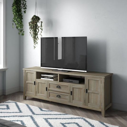 A Burlington - TV Media Stand holds a flat-screen TV, electronics, and books on its shelves. Cabinets and drawers offer storage. A patterned rug lies below, with two hanging plants by a sunlit window.