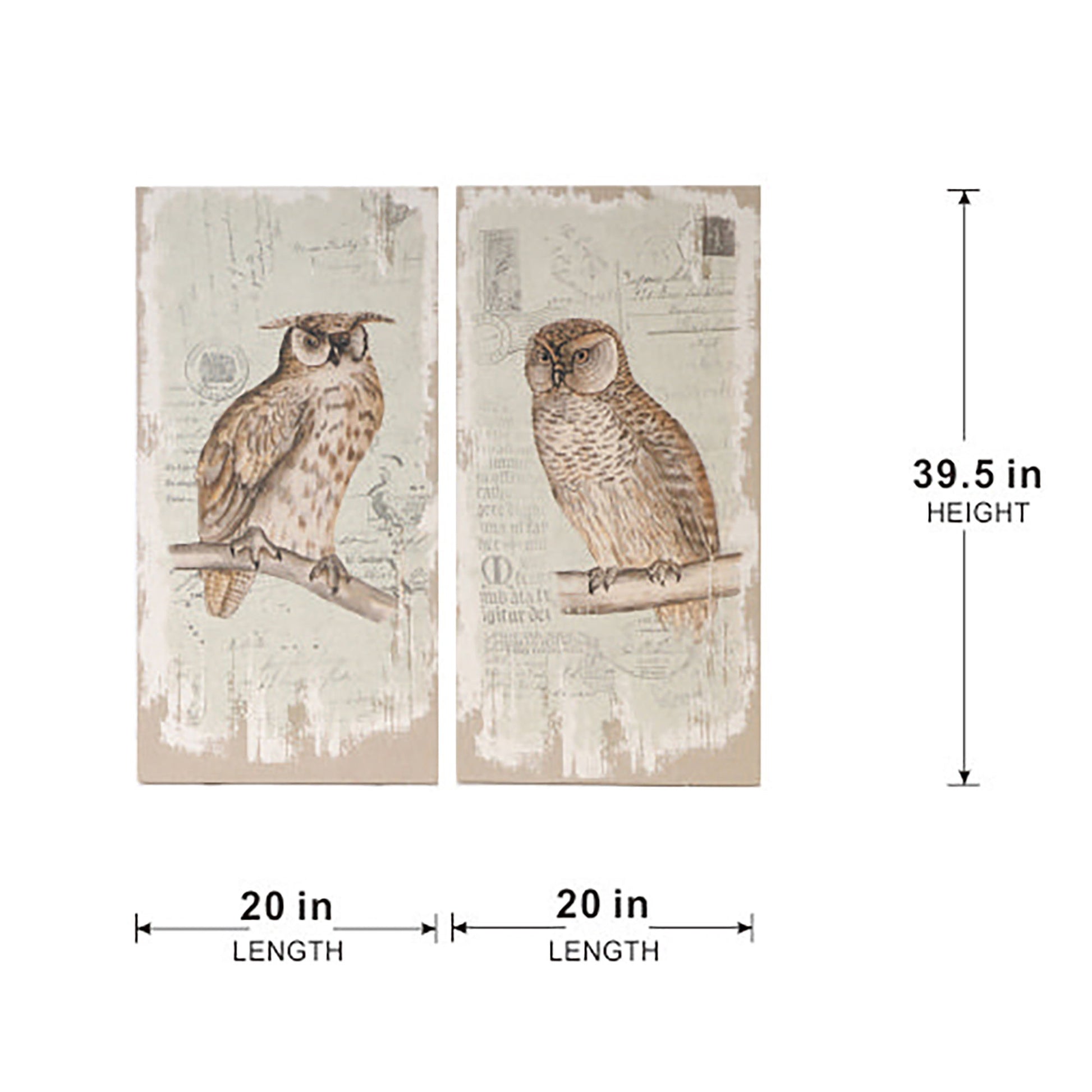 The Lilith Owl Prints With Distressed Look are a set of 2 rectangle wall art panels (20" x 39.5" each), featuring illustrated owls on branches, vintage-style text, and multicolor designs for decorative appeal.