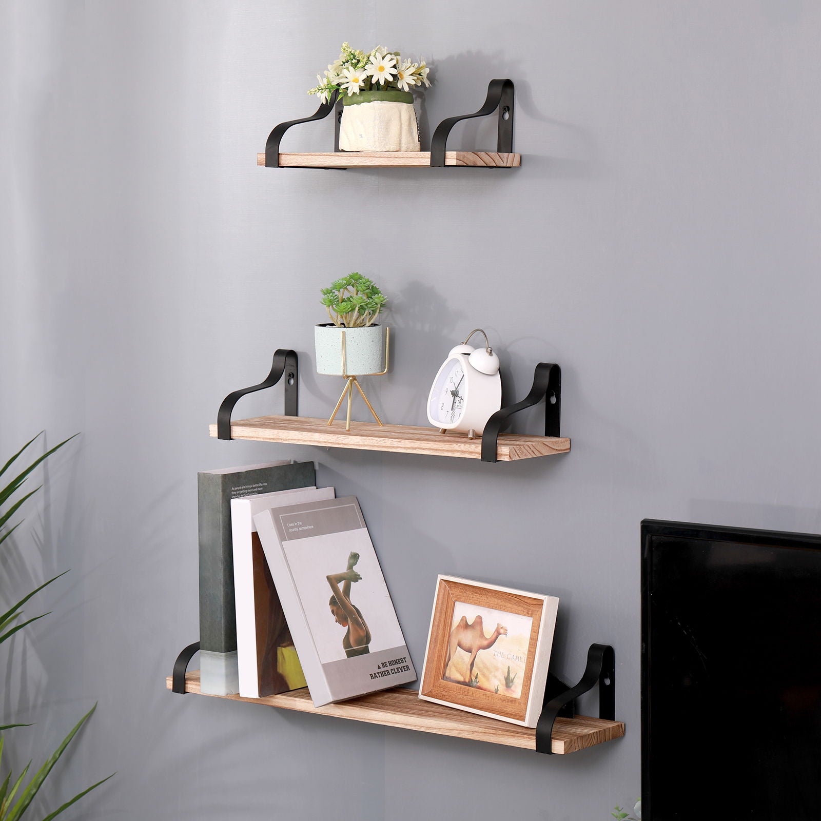 A set of three Floating Shelves, Long Wall Shelves (Natural Wood) with black brackets displays plants, a clock, books, and art on a gray wall. A TV and a leafy plant can also be seen nearby.