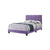 Purple / Full