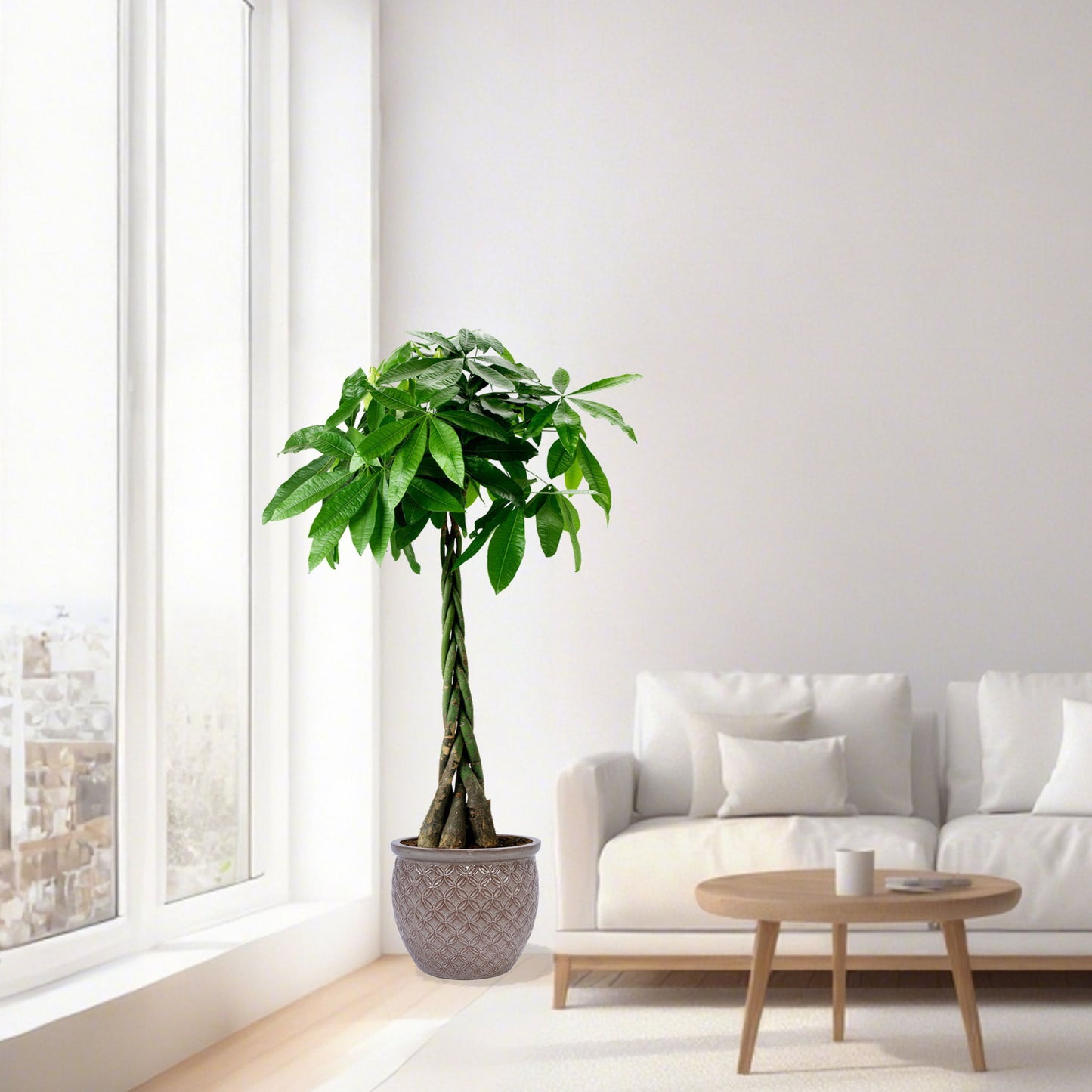 3 Pieces Ceramic Flowerpot, Planter For Patio & Garden Or Windowsills - Antique Yellow