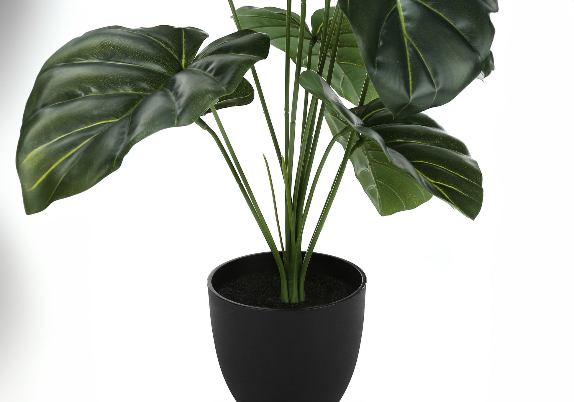 A 24" tall artificial Alocasia plant with real touch, glossy green leaves and slender stems is displayed in a simple black pot, perfect for indoor decor and adding greenery to your table.
