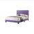 Purple / Full