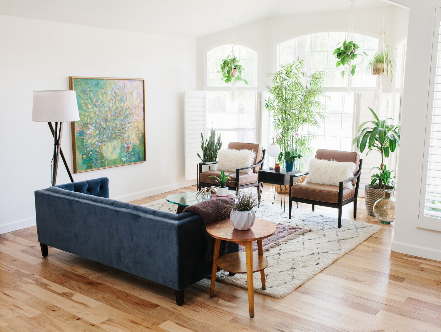 A bright living room with large windows, white walls, and wooden floors. The room features a blue velvet sofa, two brown chairs, a round wooden side table, several potted plants, and a colorful painting on the wall. The floor is adorned with a patterned rug.